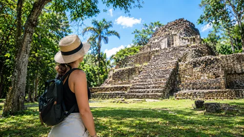 The Cohuo Forest Trail